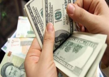 سعر الدولار