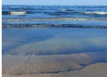 شاطئ المناخ ببورسعيد