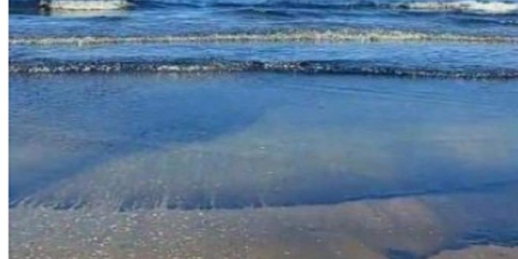 شاطئ المناخ ببورسعيد