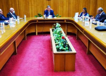 وزير قطاع الأعمال