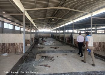 جانب من الجولة