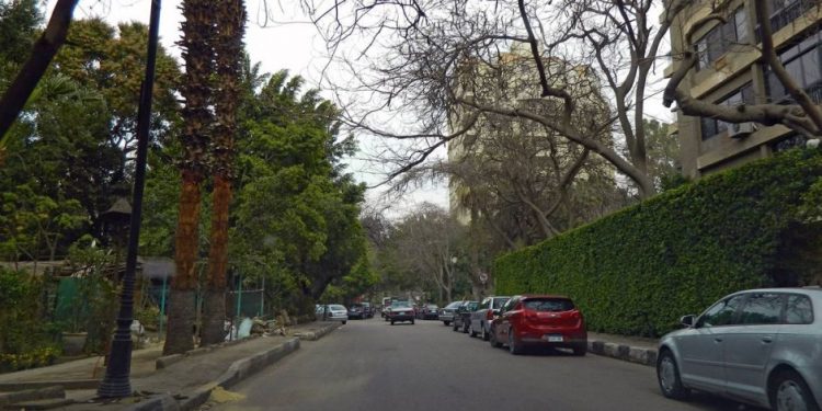 حى المعادى