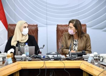 المشوع القومي لتنمية الاسرة