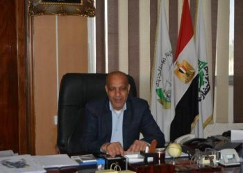 المهندس محمد رجب