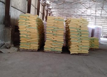 تقاوي زراعية