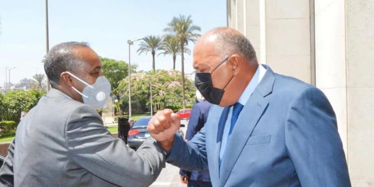 وزير الخارجية