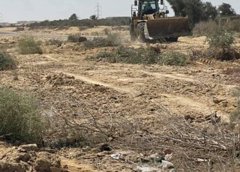 جانب من حملة الازالة