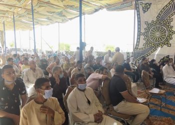 جانب من المزاد بالمنيا الجديدة