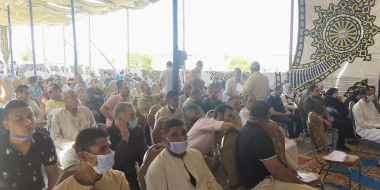 جانب من المزاد بالمنيا الجديدة