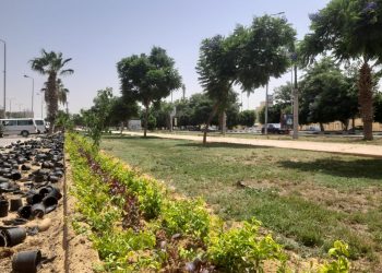 جانب من أعمال تطوير المداخل