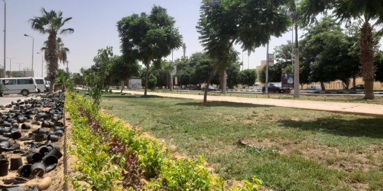 جانب من أعمال تطوير المداخل