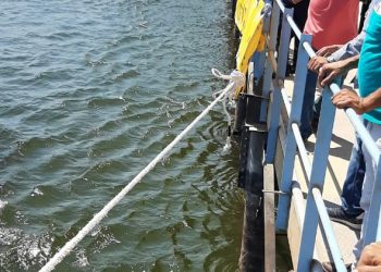 مياه أسيوط: بتكلفة 700 ألف جنيه حواجز مطاطية وماصة للمواد البترولية لمأمونية المياه بخمسة محطات