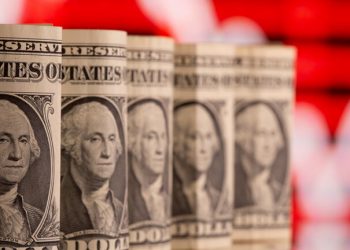 سعر الدولار