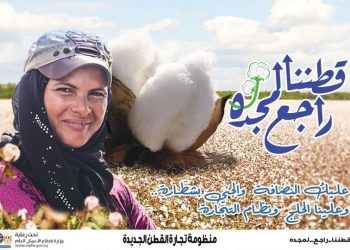 وزارة قطاع الأعمال