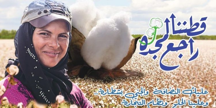 وزارة قطاع الأعمال