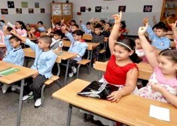 المناهج الدراسية