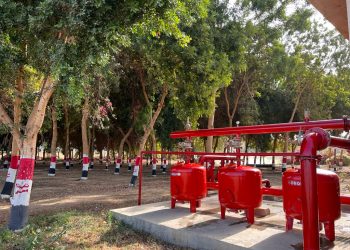 القابضة للمياه: جولة تعريفية لطلاب من الجامعات المصرية للغابات الشجرية بالأقصر