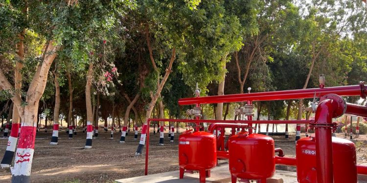 القابضة للمياه: جولة تعريفية لطلاب من الجامعات المصرية للغابات الشجرية بالأقصر