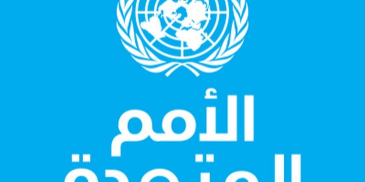 منظمة الأمم المتحدة