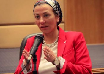 الدكتورة ياسمين فؤاد