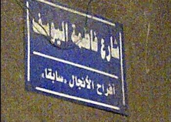 شارع أفراح الأنجال