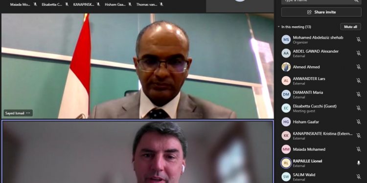 نائب وزير الإسكان يلتقي مسئولى الاستثمار الأوروبي لمناقشة المشروعات الممولة من البنك