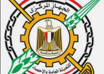 الجهاز المركزي للإحصاء : عدد سكان مصر يرتفع خلال 61 يوما 250 ألف نسمة