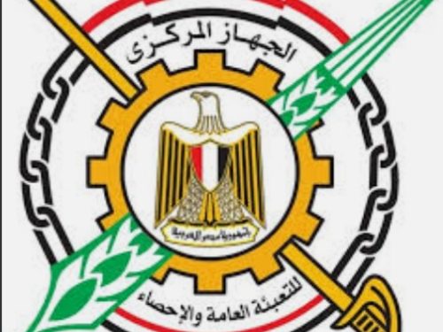 الجهاز المركزي للإحصاء : عدد سكان مصر يرتفع خلال 61 يوما 250 ألف نسمة