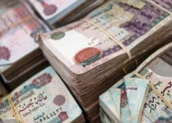 سيولة نقدية