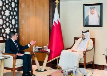 عبدالوهاب: استثمارات قطرية جديدة بمشروعات الطاقة الجديدة والمتجددة