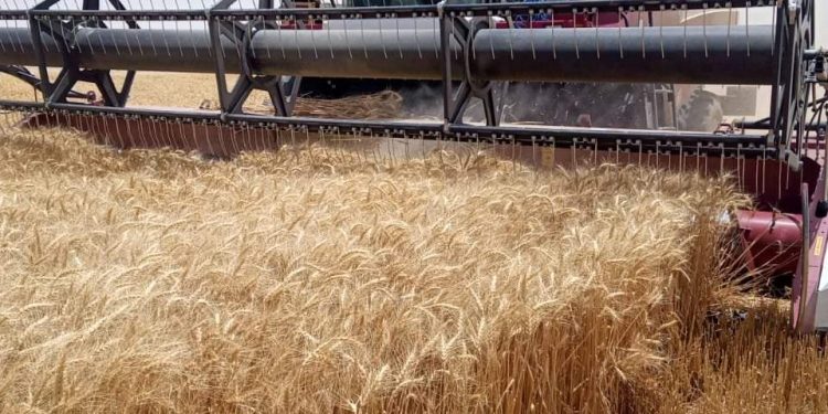 “توفيق” يتلقى تقريرًا حول تطور أداء شركة جنوب الوادي بتوشكى