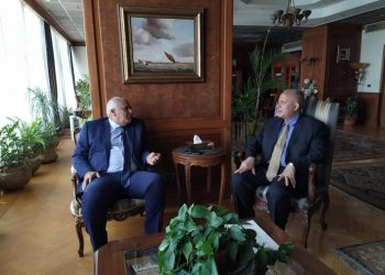 عبد العاطى والزملوط يبحثان موقف المشروعات المائية بنطاق محافظة الوادى الجديد