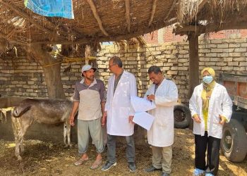انطلاق حملة تحصين المواشي ضد الحمى القلاعية والوادي المتصدع على مستوى الجمهورية