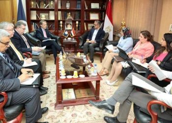 العناني يبحث تعزيز سبل التعاون مع الوكالة الأمريكية للتنمية الدولية (USAID)