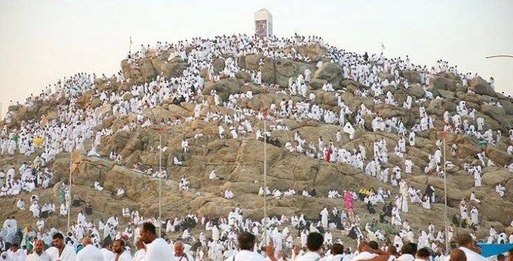 السياحة: تبدأ تصعيد حجاجها على عرفات لتسكينهم بالمخيمات بعد الانتهاء من تفقدها