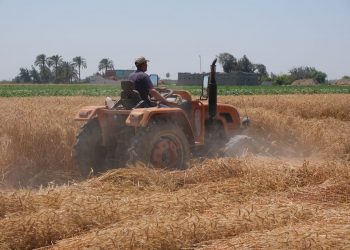 الحكومة الأمريكية ترصد 50 مليون دولار لدعم الأمن الغذائي في مصر