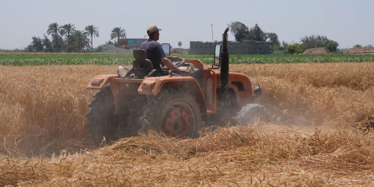 الحكومة الأمريكية ترصد 50 مليون دولار لدعم الأمن الغذائي في مصر