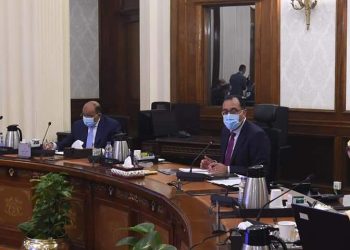 مدبولي: الاستعداد لإطلاق المبادرة الرئاسية للتشجير “100 مليون  شجرة”