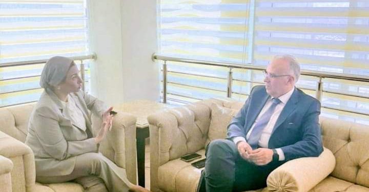 وزيرا الرى والبيئة يناقشان استعدادات مصر لاستضافة مؤتمر المناخ cop27