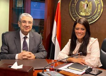 التعاون الدولي والكهرباء تبحثان توفير التمويل لتنفيذ مشروعات الطاقة ضمن برنامج “نُوَفِّي”