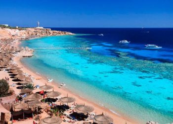 الاجتماع مع شركات السياحة التي ستنفذ البرامج للوفود المشاركة في مؤتمر COP 27