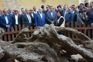 افتتاح منطقة شجرة مريم