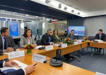 وزيرة التخطيط والتنمية الاقتصادية