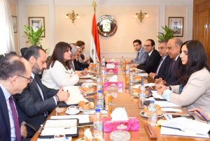 وزير قطاع الأعمال العام يبحث مع وزيرة الهجرة تحفيز المصريين بالخارج للاستثمار في الشركات التابعة