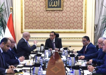 الحكومة تستعد لطرح عدد من قطع الأراضي والوحدات السكنية للمصريين في الخارج