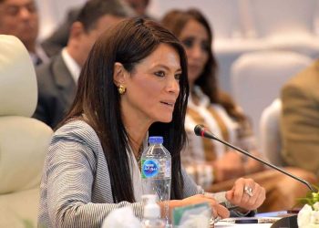 المشاط: 7.3 مليار دولار تمويلات تنموية جارية من شركاء التنمية للقطاع الخاص في مصر