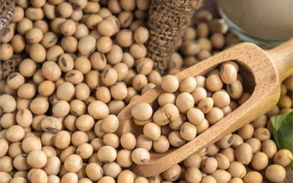 بعد قرار مجلس الوزراء..5 آلاف جنيه تراجع بأسعار علف الصويا