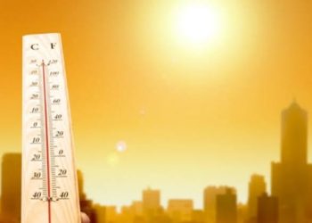 طقس مائل للحرارة