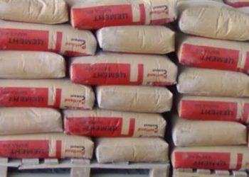 أسعار الجبس