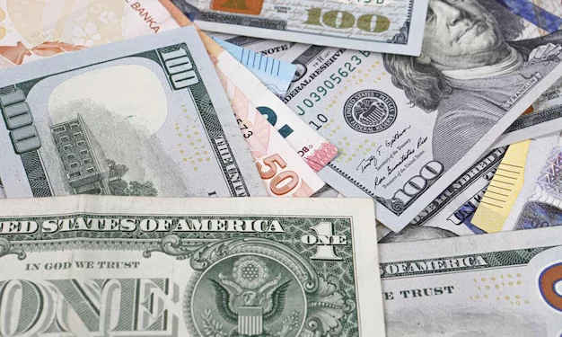 الدولار الأمريكي _ العملات الأجنبية